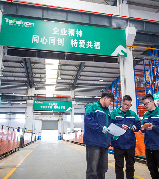Tefusen (Guangde) Intelligent Technology Co. ، Ltd.