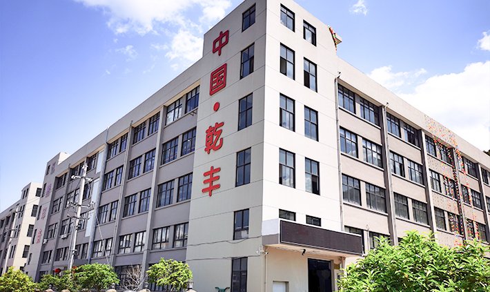 Tefusen (Guangde) Intelligent Technology Co. ، Ltd.
